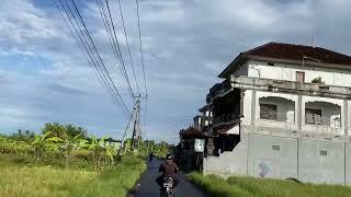 Bali road , rice field view