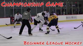 Beginner Adult hockey