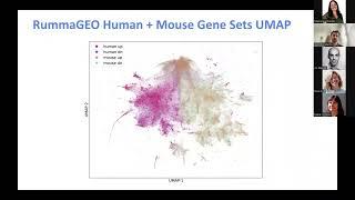 RummaGEO: Automatic Mining of Human and Mouse Gene Sets from GEO by Giacomo Marino
