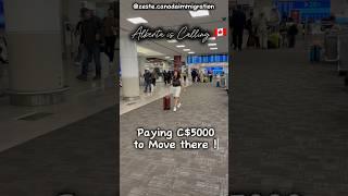 Government of Alberta is paying C$5000 Move there !!  #movetoalberta