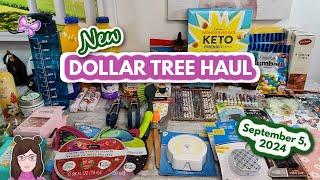 NEW DOLLAR TREE HAUL! Amazing Finds!! Everything was $1.25! September 5, 2024