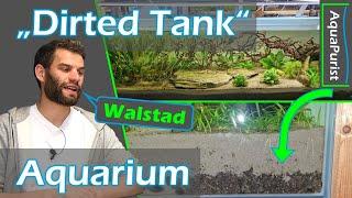  Wir haben es doch gewagt  Dirted Tank Walstad #Aquarium einrichten - Beckenvorstellung