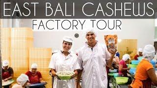 EAST BALI CASHEWS FACTORY TOUR - BEST GRANOLA ON PLANET EARTH