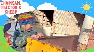 Tractor Working, Sheep & Cows, Chainsaw, Fun Playing On The Farm | Farm Videos For Kids