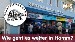 Terraristika Hamm, war es die letzte Börse?