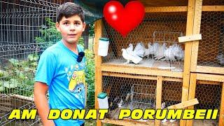 Am donat porumbeii unui copil pasionat #viațalațară