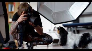 How to photograph your pets | Carli Davidson