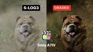 How To Color Grade S-LOG3 // Fast, Easy & Cinematic (SONY A7IV)