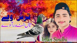 TiK ToK Viral Song || Tara's Awe Nendir Awe || Irfan Khan Sindhi || Waseeb Production