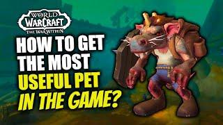 How To Get Coppers, The Most Useful Pet Ever Added To WoW! The War Within | Coppers The Kobold Guide