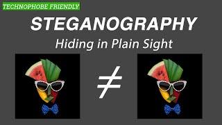 The Art of Hiding In Plain Sight - Steganography