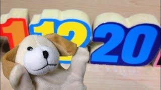 Learn Numbers! Learn Letters! With Excite Dog as he plays Numbers, Letters Potato