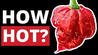 Trinidad Scorpion Butch T Pepper on the Scoville Scale