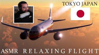 ASMR Relaxing Sunset Flight (Flight Simulator)