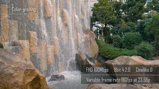 Panasonic GH5 ｜ Variable Frame Rate - 96fps, 120fps, 180fps quality comparison