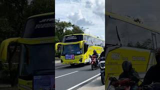 MOBIL BUS PARIWISATA ANGGY TRANSPORT NGEBUT FULL OLENG #shorts #trending #subscribe