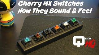 Cherry MX Switches How They Sound & Feel (Blue, Red, Brown, Green, Black, White)