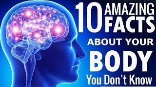 10 Amazing Facts About Human Body You Don't Know About - Astounding Facts