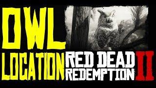Red Dead Redemption II Owl Location