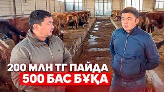 0 ден 500 бас бордақы 1 жылда Ағамыздың жүріп өткен жолы