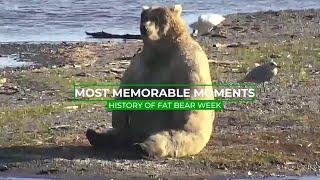 The History of Fat Bear Week | Memorable Moments in Bear Cam History.