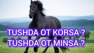 Tushda Ot Ko'rsa Тушда От корса Tushda Ot minsa Тушда От минса Abdulloh zufar