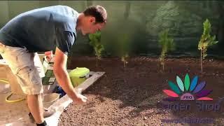 How to make a new lawn from seed for beginners