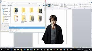 How to Remove the Background of a Picture in Word 2010 and Lunapic