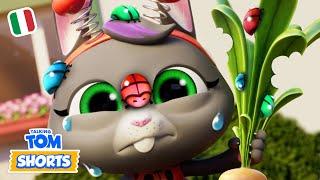  Attacco in giardino (Insetti fastidiosi 2)  - Talking Tom Shorts (S2 Episodio 36)