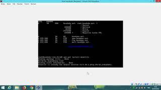 Tutorial setting DNS server debian 9