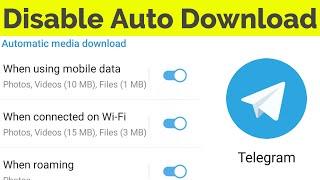 How To Stop Auto Download In Telegram Android/Ios(Turn Off Automatic Media Download Setting)