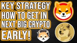 How to be Early on the Next Big Crypto for 100x GAINS in 2021! SHIB DOGE SAITAMA ELON ERG