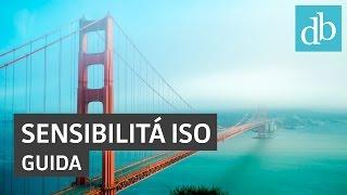 Sensibilità ISO: cos'è e come funziona • Ridble