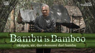 BAMBU IS BAMBOO: Oksigen, Air, dan Ekonomi dari Bambu | PELESTARI