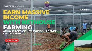 THE HIDDEN BENEFIT OF NETHOUSE/SHADENET AGRICULTURE IN NIGERIA