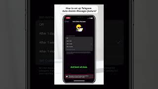 How to set up Telegram Auto-Delete Messages feature?
