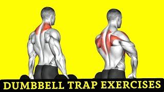 10 Best Dumbbell Trap Exercises