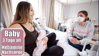 Hebamme zu Besuch  Baby 3 Tage alt! Nachsorge Untersuchung im Wochenbett | Mama VLOG | Mamiseelen