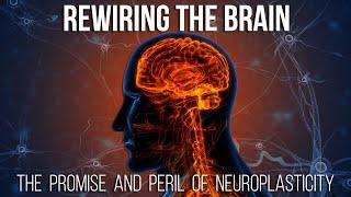 Rewiring the Brain: The Promise and Peril of Neuroplasticity
