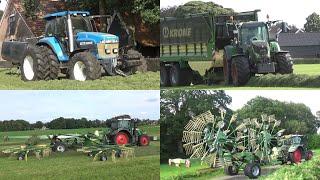 Oude Lashof grass silage