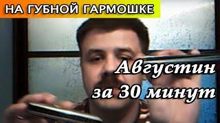 Августин на губной гармошке за 30 минут