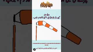 What is the Purpose of mounting Windsocks in Urdu/Hindi #shorts