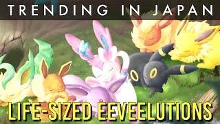 Life Sized Pokemon Eeveelutions Plush Are Super Expensive