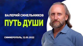 Путь Души. Для чего Душа приходит в этот мир. Валерий Синельников