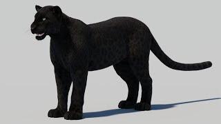 Black Panther 3D Model with Realistic Fur | PROmax3D