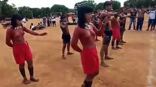 xavante Indigenous Peoples in Brazil eed dance virgin dance Zulu tribe culture