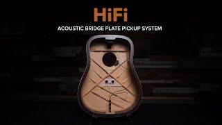 Introducing LR Baggs HiFi Bridge Plate Pickup System