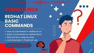 Red Hat Enterprise Linux Basic Commands | Linux Basic Commands | RHEL Fundamentals