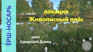 Русская рыбалка 4 - река Северский Донец - Ёрш-носарь на чистой воде