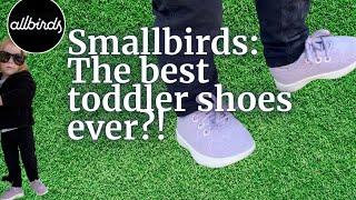 Smallbirds Review: The best shoe for toddlers that hate socks?